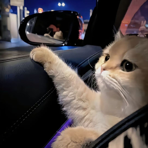 玩弄两个闷骚老熟女
