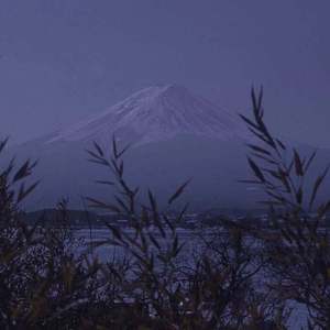 玩弄两个闷骚老熟女
